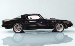 
										1979 Pontiac Firebird Trans Am full									