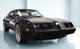 
										1979 Pontiac Firebird Trans Am full									