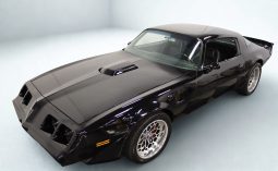 
										1979 Pontiac Firebird Trans Am full									
