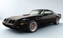 1979 Pontiac Firebird Trans Am