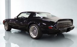 
										1979 Pontiac Firebird Trans Am full									