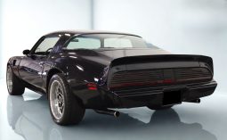 
										1979 Pontiac Firebird Trans Am full									