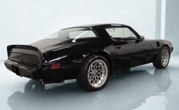 
										1979 Pontiac Firebird Trans Am full									