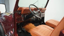 
										1984 Jeep CJ7 Golden Eagle full									